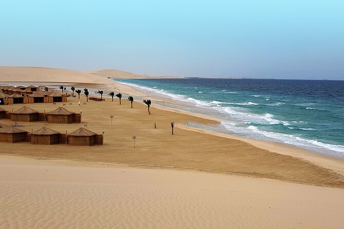 Doha: Sunrise /Sunset Desert Safari with Sand Boarding,Camel ride - Is $49 good value?