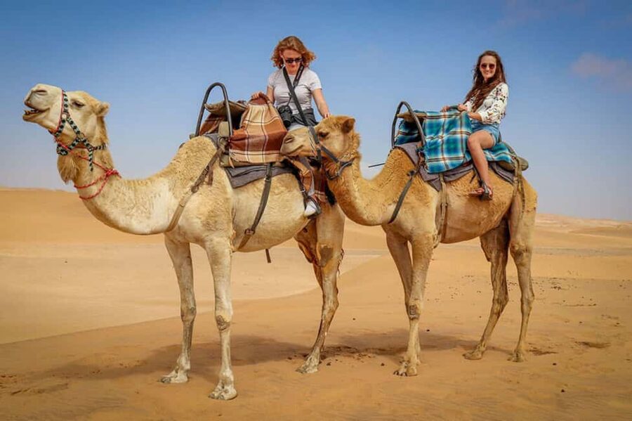 Doha: Sunset Desert Safari, ATV, Camel Ride and Sandboarding - How to Get Better Value From the Afternoon