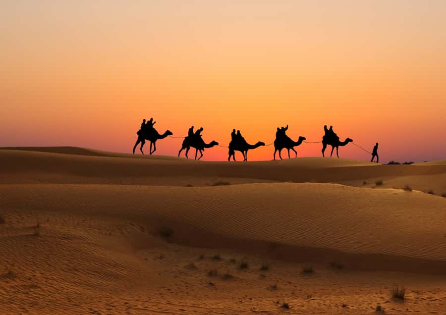 Doha: Sunset Safari, Dune Bashing, Sandboarding & Camel Ride - What the four-hour schedule feels like