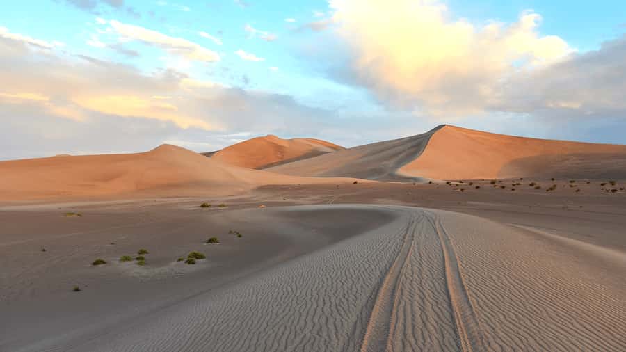 Doha: Sunset Safari, Dune Bashing, Sandboarding & Camel Ride - The guide can make or break the day