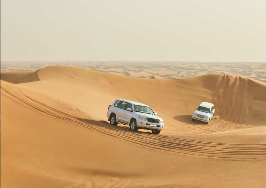 Doha: Sunset Safari, Dune Bashing, Sandboarding & Camel Ride - Who should book this desert safari?