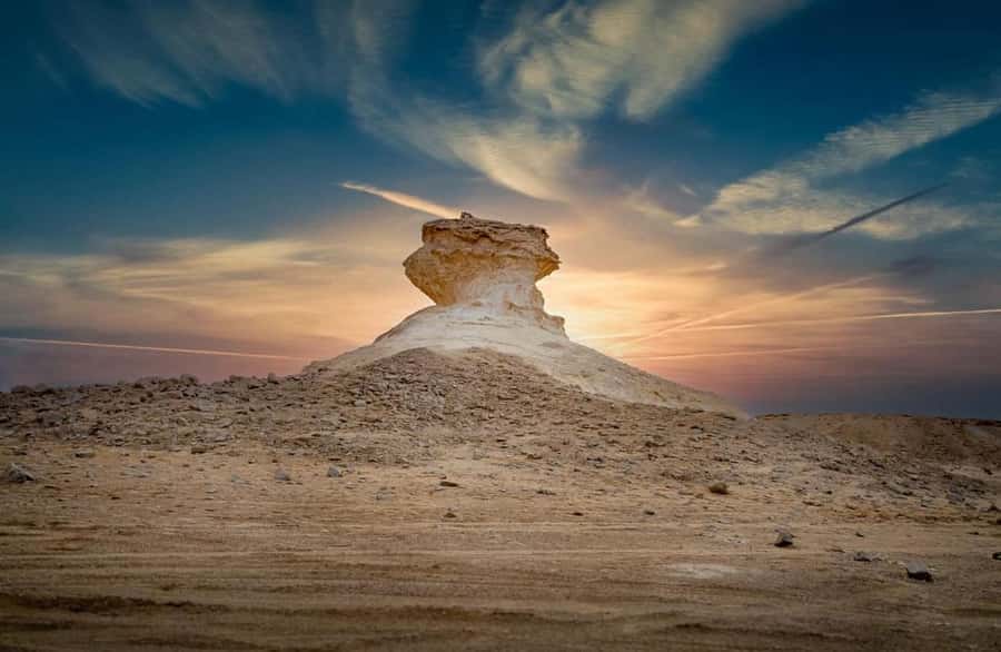 Doha: West Coast Qatar Tour, Sculptures, Camel Racing track - From Doha to the open country of Al-Shahaniya