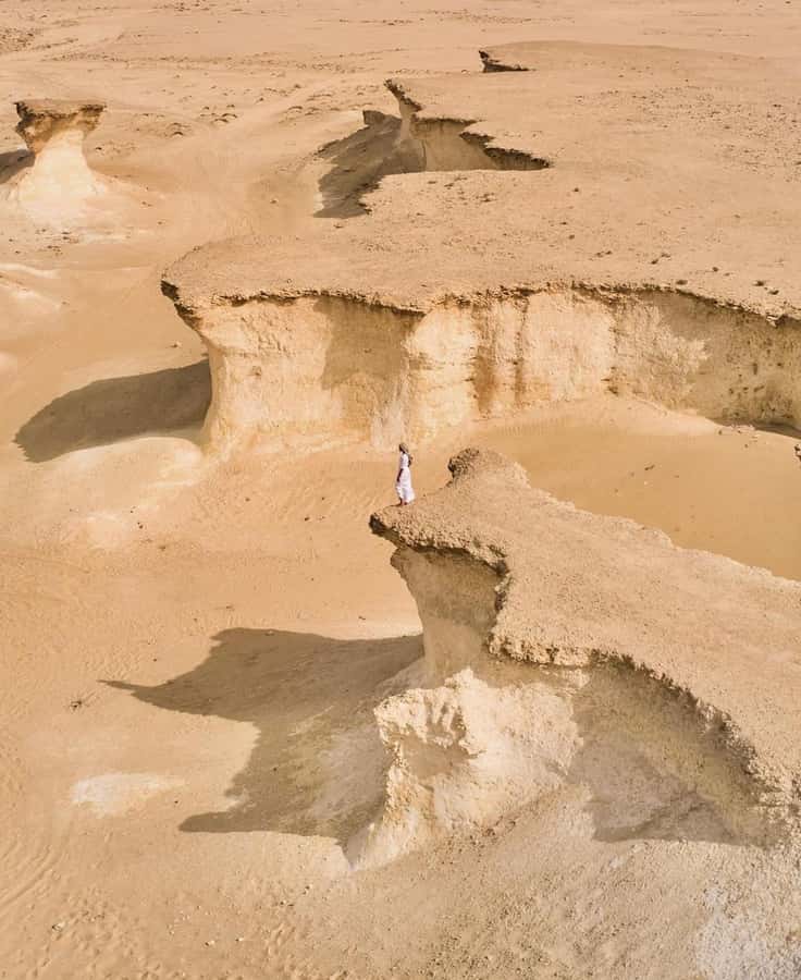 Doha: West Coast Qatar Tour, Sculptures, Camel Racing track - Is $35 good value?