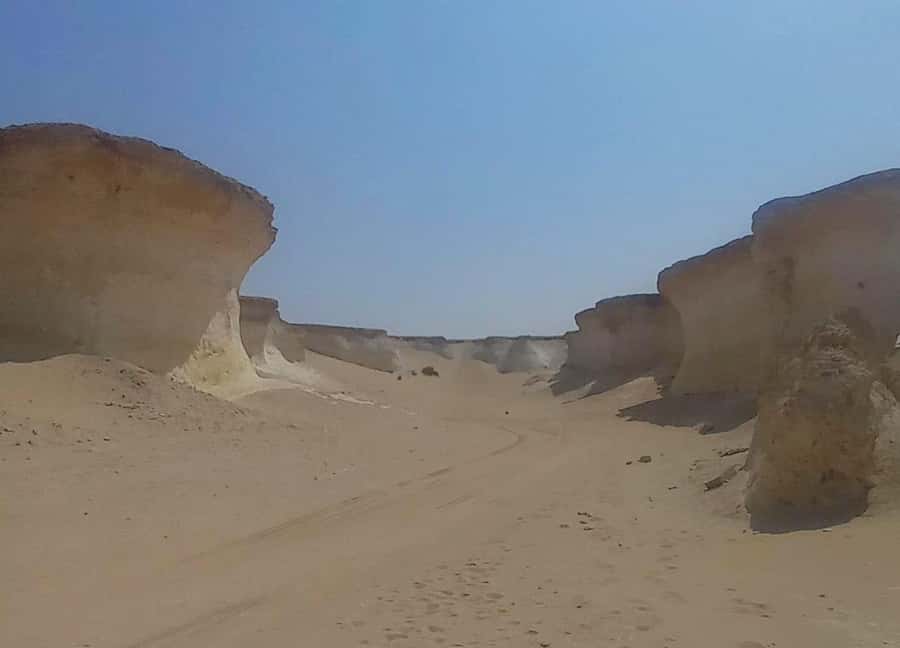 Doha: West Coast Qatar Tour, Sculptures, Camel Racing track - Who will enjoy this west coast tour?