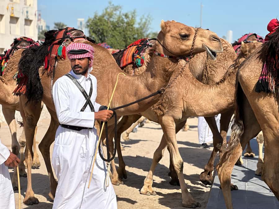 Doha: West Qatar Guided Journey With Pickup & Drop-Off - Key points at a glance