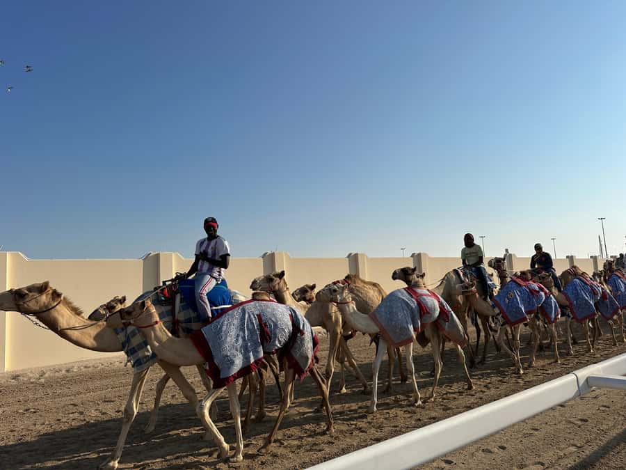 Doha: West Qatar Guided Journey With Pickup & Drop-Off - Zekreet Fort ruins and a glimpse of earlier Qatar