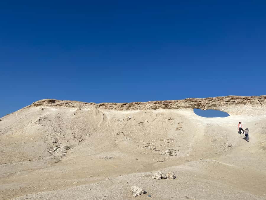 Doha: West Qatar Guided Journey With Pickup & Drop-Off - Who should book this West Qatar trip?