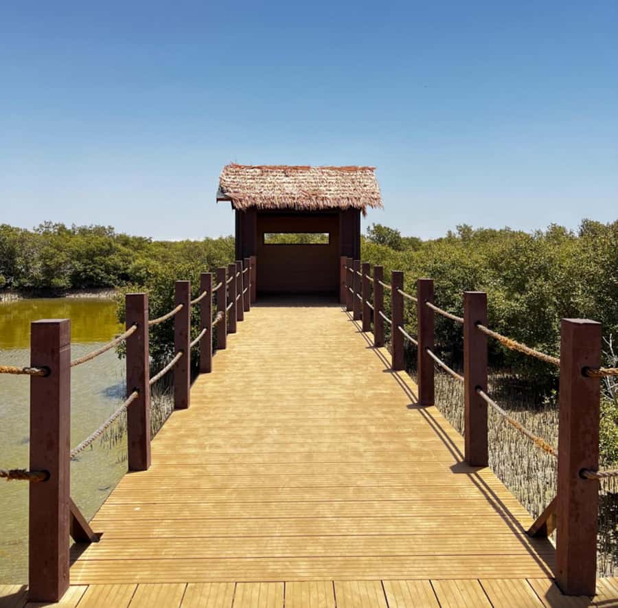 Doha: Zubara UNESCO Site, Mangroves & Jumail Village - A first coastal stop with room for photographs