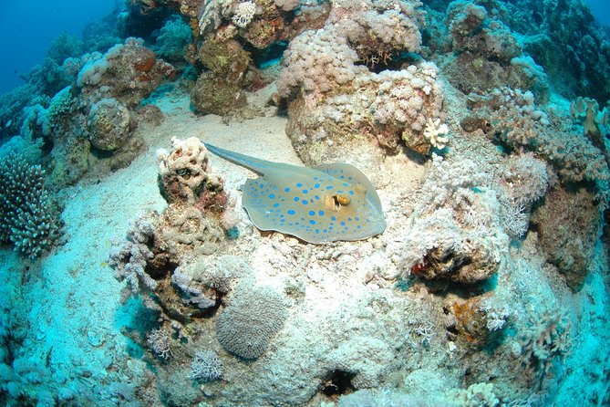 DSD "Discover Scuba Diving" (Min Age 10 Years) - What the six-hour duration really means