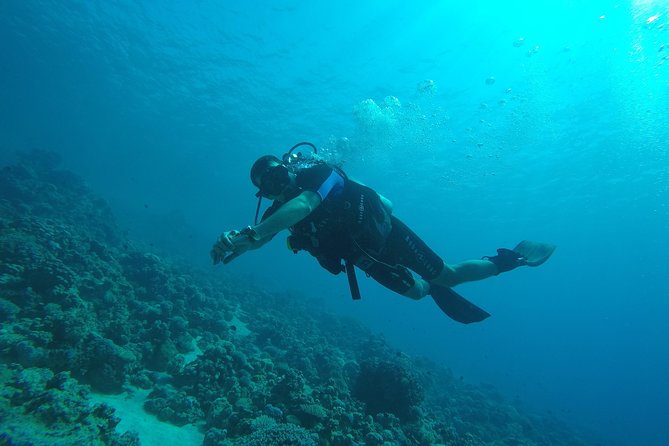 DSD "Discover Scuba Diving" (Min Age 10 Years) - Why the instructor-led approach matters
