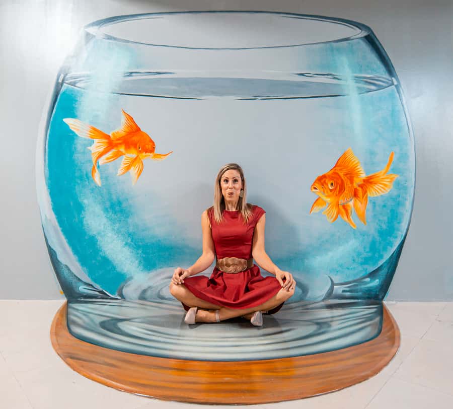 Dubai: 3D World Trick-Art Selfie Museum Entrance - Booking flexibility and cancellation
