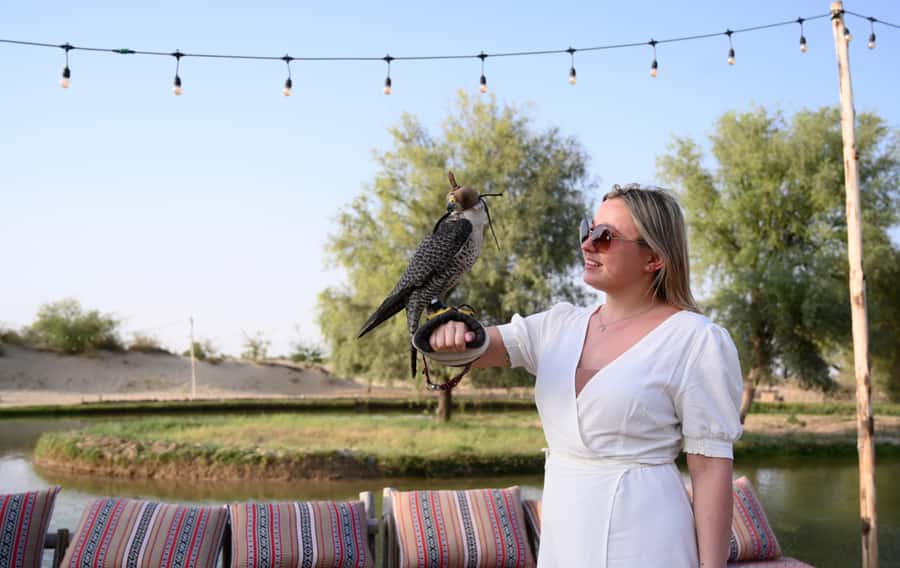 Dubai: Al Marmoom and Al Qudra Lakes Guided Tour with Dinner - Al Qudra Lakes and the bird reserve