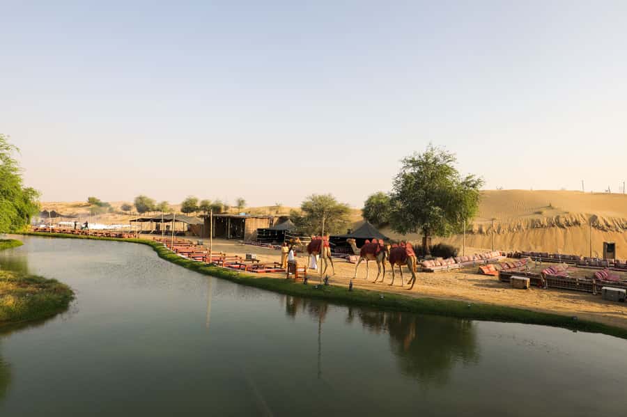 Dubai: Al Marmoom and Al Qudra Lakes Guided Tour with Dinner - Pickup and the ride to Al Marmoom Oasis