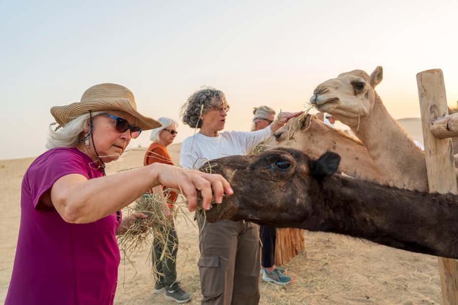 Dubai: Al Marmoom Oasis Safari, Animal Spotting & Breakfast - A generous Emirati breakfast