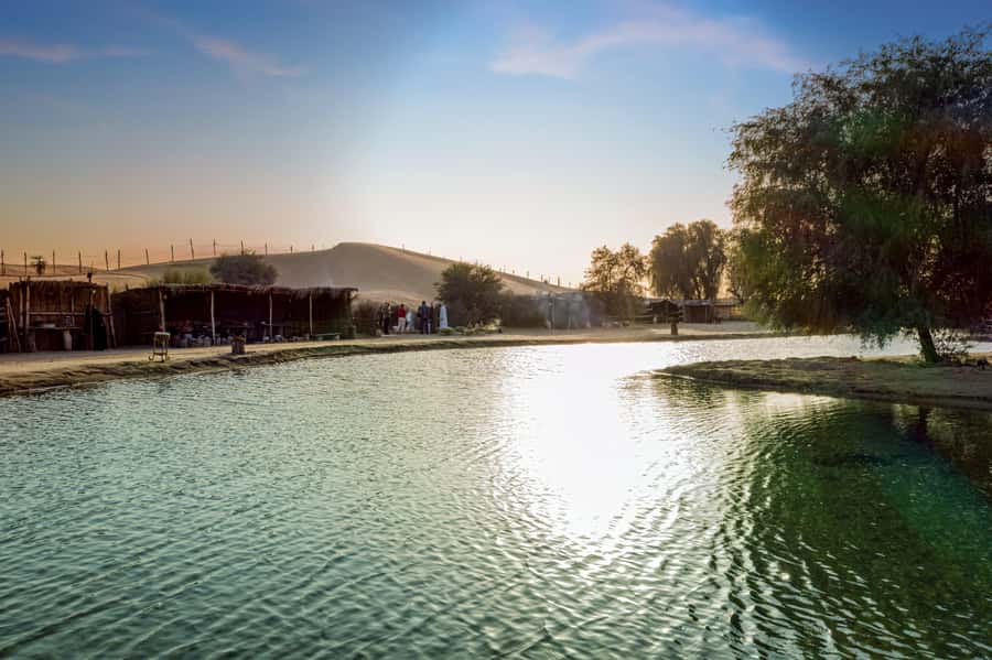 Dubai: Al Marmoom Oasis Safari, Animal Spotting & Breakfast - Who should book this Al Marmoom morning safari?