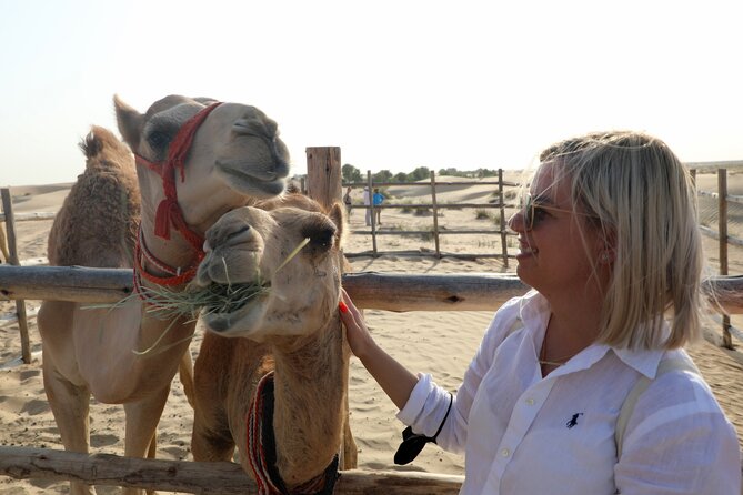 Dubai: Al Marmoom Oasis Vintage Safari: Camels, Stargazing & Meal - The vintage Mercedes ride across Al Marmoom