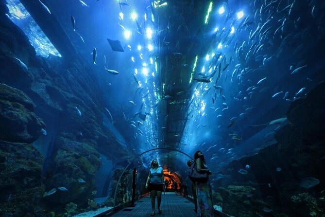 Dubai Aquarium and Underwater Zoo Admission Ticket with Options - Key points to know before you go
