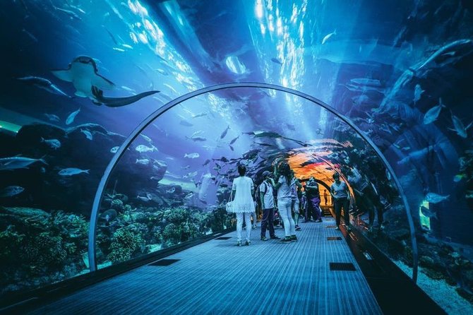 Dubai Aquarium and Underwater Zoo Admission Ticket with Options - How long should you allow?
