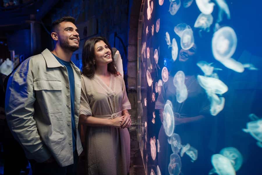 Dubai: Aquarium and Underwater Zoo Experience - Key points to know before you go