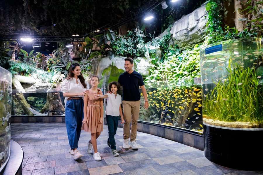 Dubai: Aquarium and Underwater Zoo Experience - Should you book Dubai Aquarium and Underwater Zoo?