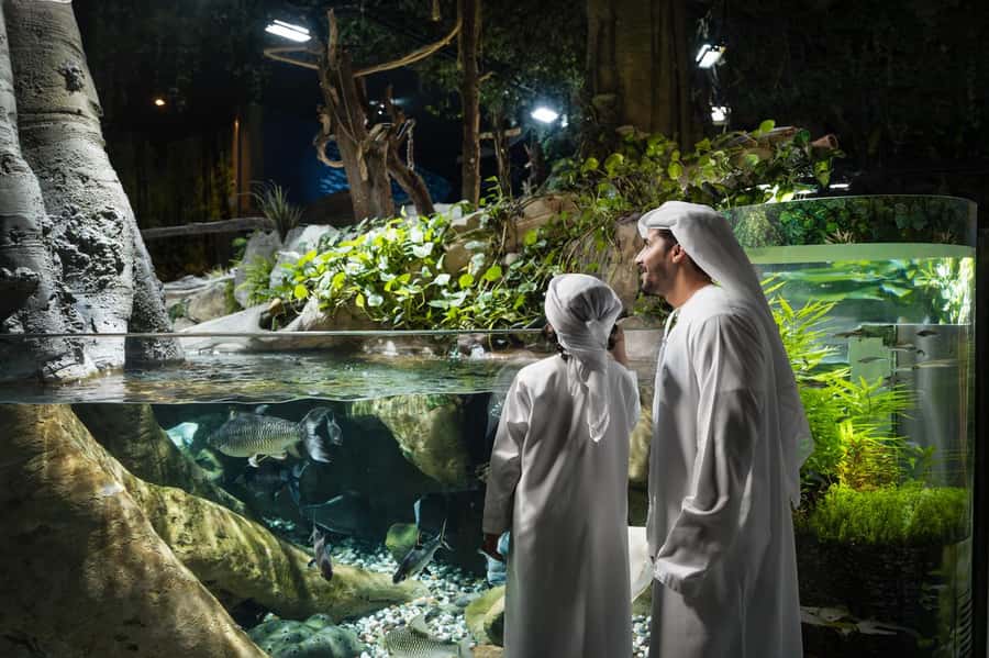 Dubai: Aquarium and Underwater Zoo Experience - The giant tank inside Dubai Mall
