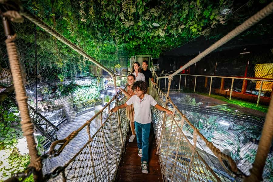 Dubai: Aquarium and Underwater Zoo Experience - Penguin Cove and the Gentoo encounter