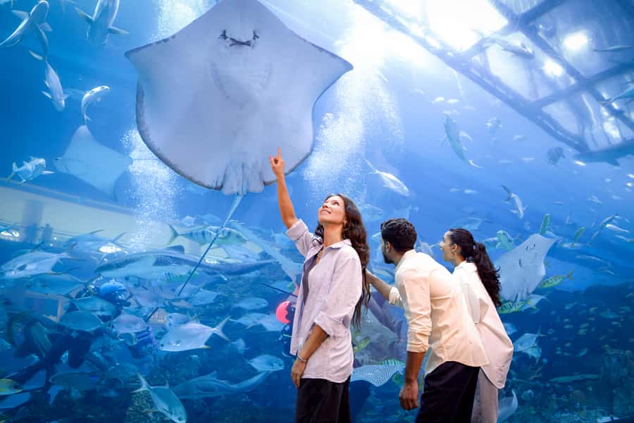 Dubai: Aquarium and Underwater Zoo Experience - Photos, shopping, and the final stop