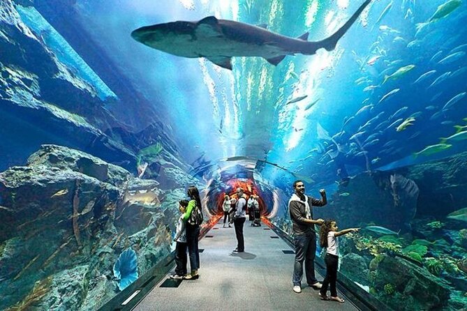 Dubai Aquarium and Underwater Zoo with Penguin Cove Tickets. - How long the visit really takes