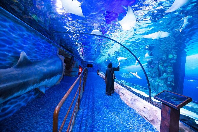 Dubai Aquarium and Underwater Zoo with Penguin Cove Tickets. - What is included, and what is not
