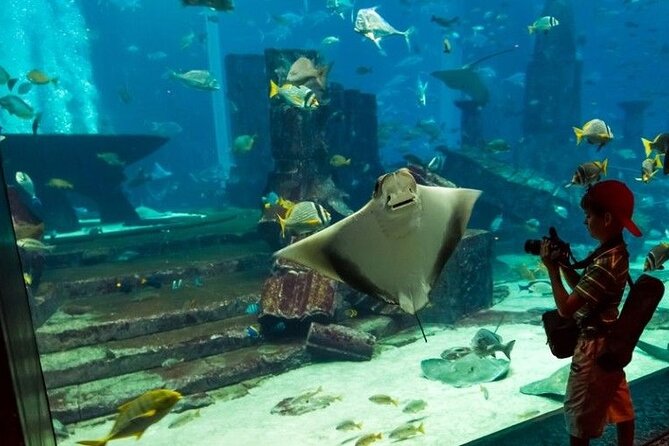 Dubai Aquarium and Underwater Zoo with Penguin Cove Tickets. - Three zones at the Underwater Zoo