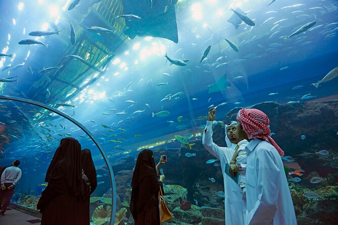 Dubai Aquarium & Underwater Zoo with Penguin Cove - Glass-bottom boats and shark activities