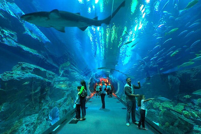 Dubai Aquarium & Underwater Zoo with Penguin Cove - Walking through the 48-meter underwater tunnel