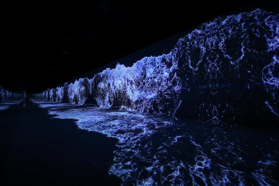 Dubai: Arte Immersive Museum Entry Ticket - Garden connects Parisian masterpieces with new technology