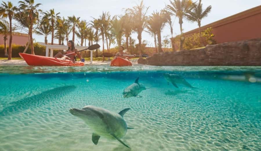 Dubai: Atlantis Dolphin Kayak Trip & Aquaventure Waterpark - Starting at Dolphin Bay Lagoon