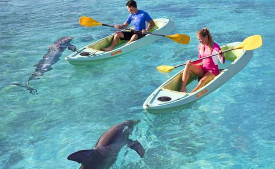 Dubai: Atlantis Dolphin Kayak Trip & Aquaventure Waterpark - Why the dolphin encounter feels different