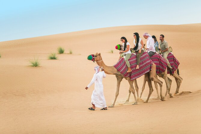 Dubai: Bedouin Culture Safari - Why this safari feels different from a standard desert trip