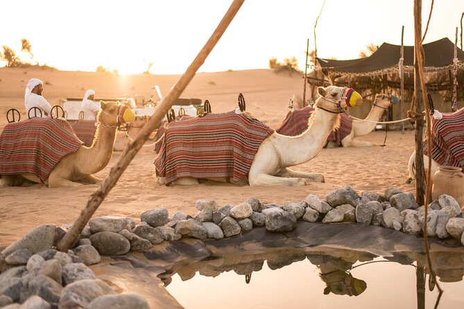 Dubai: Bedouin Culture Safari - Bedouin tents, cooking stations, and Saluki dogs