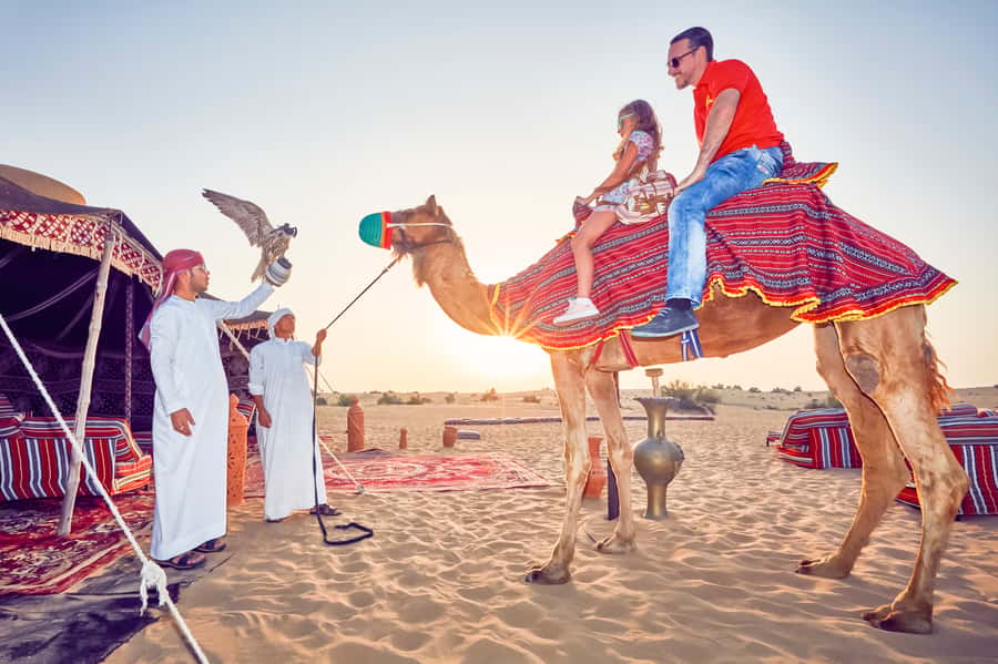 Dubai: Big Bus Hop-On Hop-Off Tour & Optional Dhow Cruise - Is the $55 price good value?