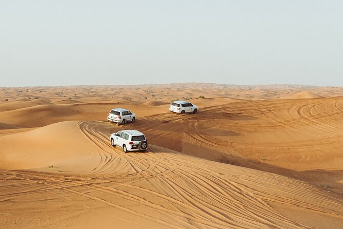 Dubai Buggy Tour in red sands and Desert Safari - Guides, photos, and the human side