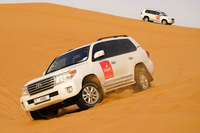 Dubai Buggy Tour in red sands and Desert Safari - Practical advice before you go