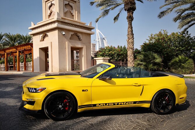 Dubai Cabrio Tour: Guided Tour of Top Sights in a Convertible Car - Palm Jumeirah gives the tour its first big view