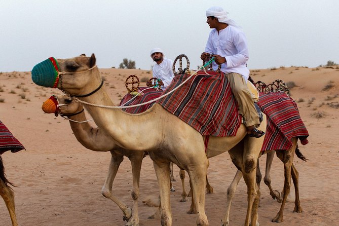 Dubai Camel Desert Safari, Traditional Meal & Heritage Activities - Falconry at the best light of day