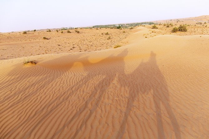 Dubai Camel Desert Safari, Traditional Meal & Heritage Activities - The camel caravan across the dunes