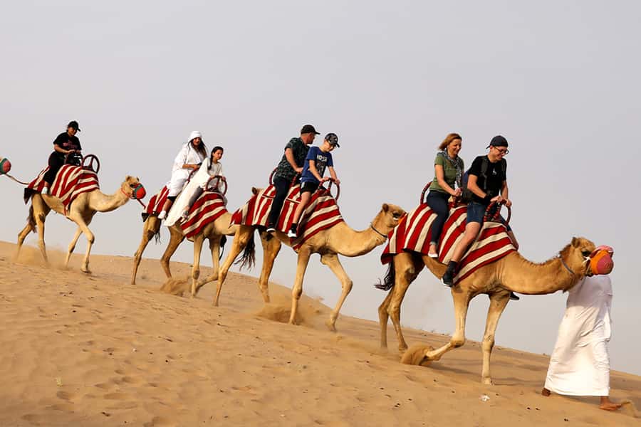 Dubai City Tour and Evening Desert Safari Combo - Dinner, live shows, and the camp atmosphere