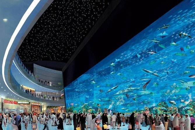 Dubai City tour from Abu Dhabi - Two hours at Dubai Mall