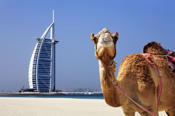 Dubai City Tour : Half Day - Burj Al Arab: the classic Dubai photograph