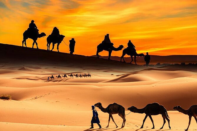 Dubai City Tour (Old & New) Desert Safari, BBQ, Camel Ride, Shows - The afternoon switch to a shared 4x4