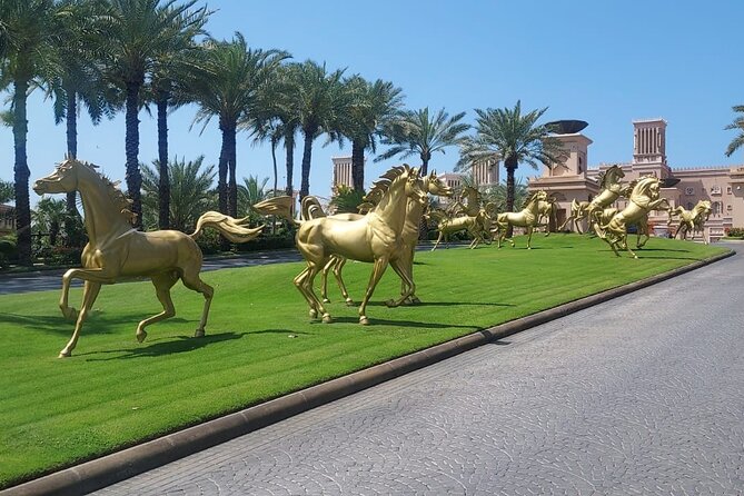 Dubai City Tour (Old & New) Desert Safari, BBQ, Camel Ride, Shows - Timing, weather, and what to bring
