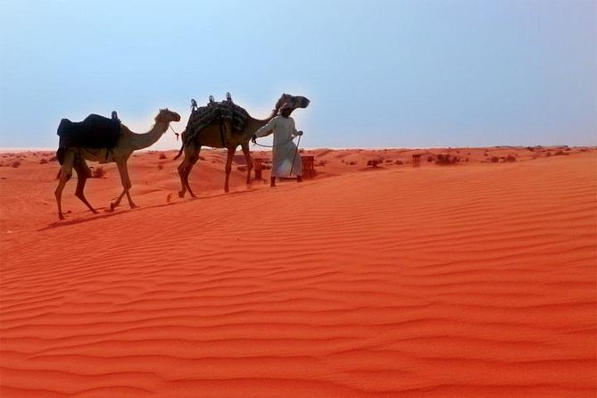Dubai City Tour (Old & New) Desert Safari, BBQ, Camel Ride, Shows - From Sheikh Zayed Road to the Palm