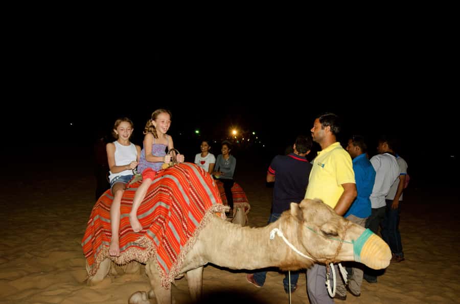 Dubai Cityscape and Desert Safari Full-Day Tour - What $88 gets you